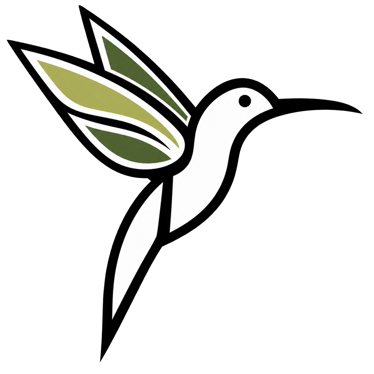 Colibrì in volo